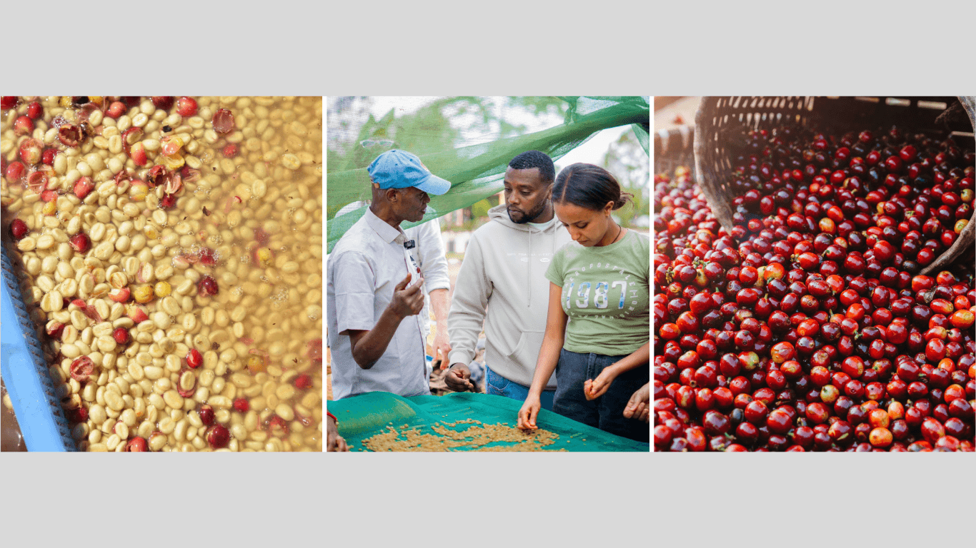 On the Eve of the World of Coffee Brussels, CQI CEO Delivers a Message on 2026 Achievements and Future Plans